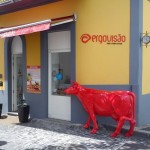 Ergovisão
