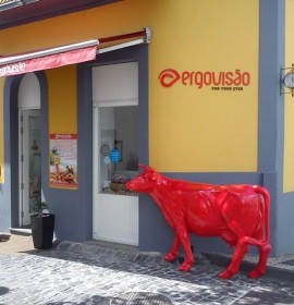 Ergovisão