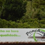 Poncha de São Vicente