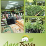 Agro Baião