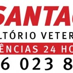 Vet Santa Cruz