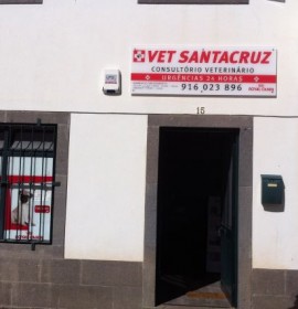 Vet Santa Cruz