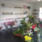 Florista O Jardim da Papoila
