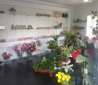 Florista O Jardim da Papoila