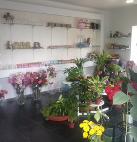 Florista O Jardim da Papoila