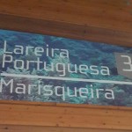 Frango da Guiia – Madeira 3