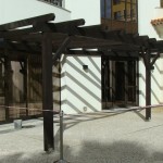 Carpimetro