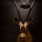 Restaurante Beef & Wines