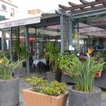 Restaurante A Muralha