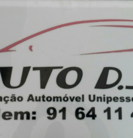 Auto DJS
