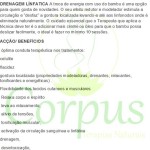 Corpus