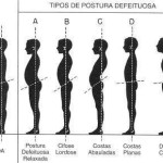 Corpus