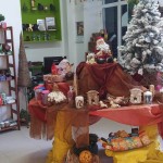 Ervanária Bom Jesus