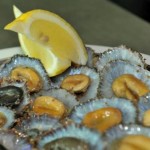 Snack Bar O Petisco