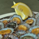 Snack Bar O Petisco