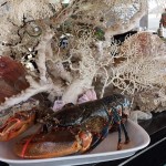 Restaurante Maré Alta