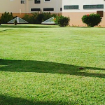 Alto Jardinagem