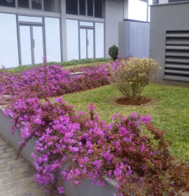 Alto Jardinagem