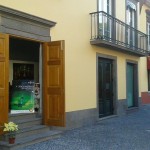 Cabeleireiro Bigodim