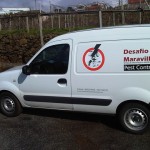 Desafio Maravilha – Pest Control