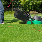 Jardinagem Agostinho Pita