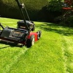 Jardinagem Agostinho Pita