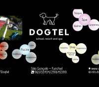 Dogtel School