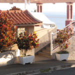 Restaurante dos Amigos