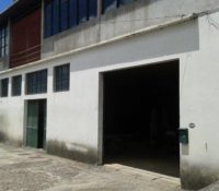 Carpimacedo