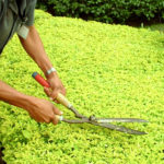 Filipe Caires – Manutenção ao Domicilio