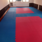 Taekwondo – Lilia Fernandes
