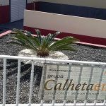Calheta em Flor