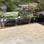 Calheta em Flor