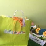 Calheta em Flor