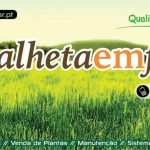 Calheta em Flor