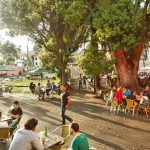 Spot Garden Café