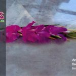 Lírius Limpeza e Serviços lda