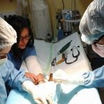 AUQMIA CLÍNICA VETERINÁRIA LDA