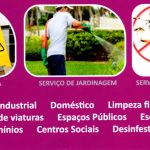 Lírius Limpeza e Serviços lda