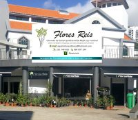 FLORES REIS