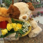FLORES REIS