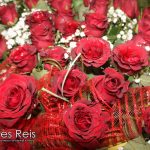 FLORES REIS