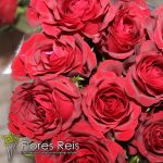 FLORES REIS