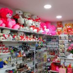 GRAÇAS & GARGALHADAS