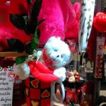 GRAÇAS & GARGALHADAS