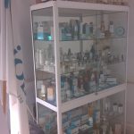 BIOVIP