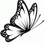 TERESA MIRANDA ESTETICISTA