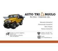AUTO TRIANGULO