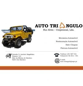 AUTO TRIANGULO