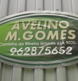 AVELINO MARTINS GOMES OFICINA BATE-CHAPAS AUTO